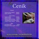 5_Cenik_od_2019